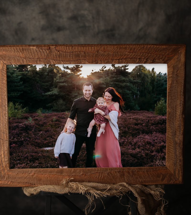 40x60 framed brown